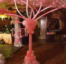 birthday Theme Decor