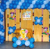 birthday Theme Decor