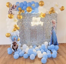 birthday Silver Sequin Frozen Theme Birthday Decoration