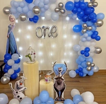 birthday Amazing Frozen Theme First Birthday Decoration