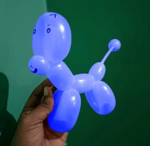 birthday Balloon Sculptor