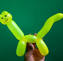 birthday Balloon Sculptor