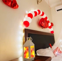 birthday Romantic Canopy Bed Decoration