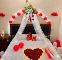 birthday Romantic Canopy Bed Decoration