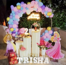 birthday Outdoor Princess Theme Birthday Decor