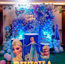 birthday Extravagant Frozen Theme Birthday Decor