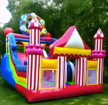 birthday Palace Theme Kids Bouncy Castle