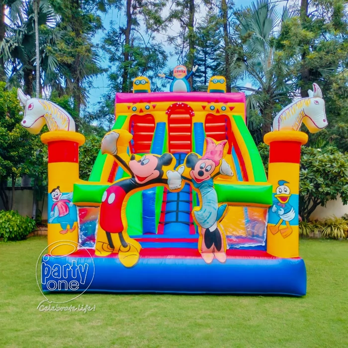 birthday Disney Cartoon Jumping Castle