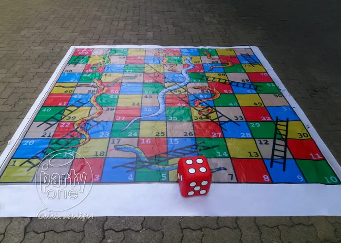 birthday Giant Snake and Ladder Game for Party