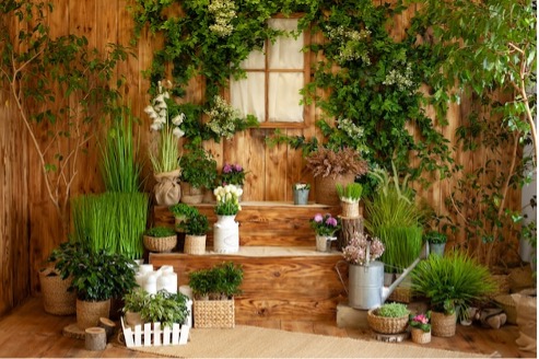  Potted Plants Decor Ideas