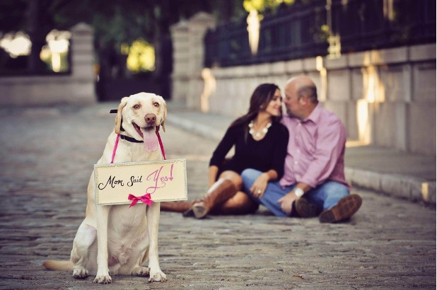 Pet Proposal