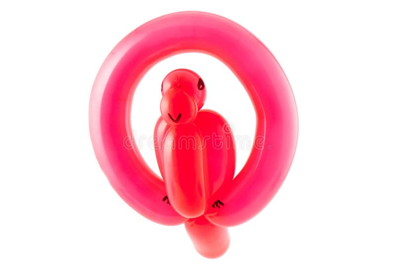 Parrot - Balloon Animals from Scratch